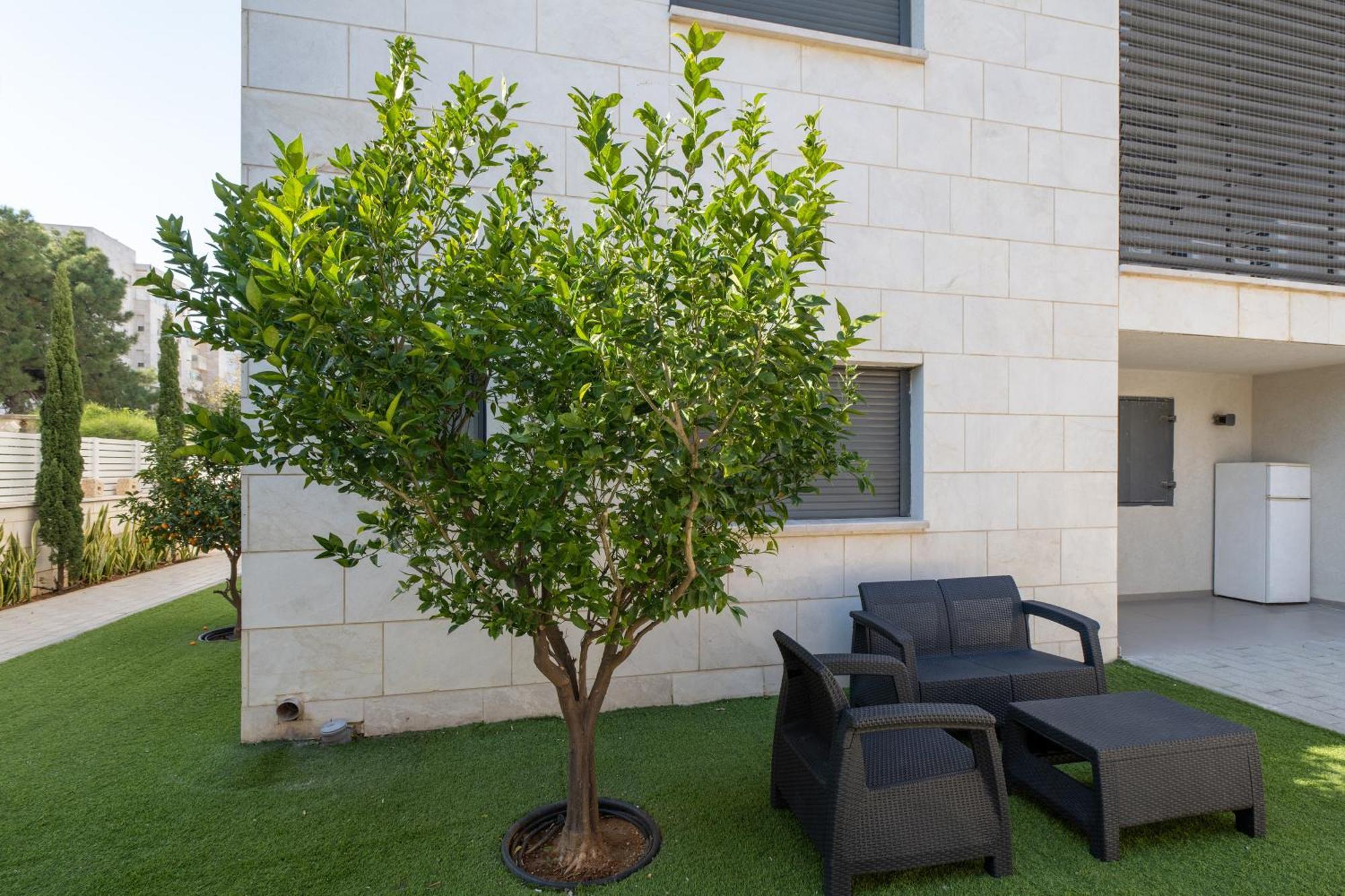 Balfour Sea View City Center Nahariya Esterno foto